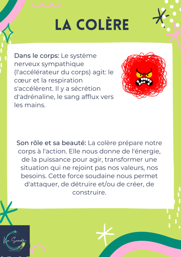 Les émotions et leurs impacts – Image 5